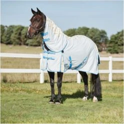 2023 Weatherbeeta Summer Sheet IV Lite Rug & Fly Mask SUPER DEAL WTRFM1 - Seahorse Print / Black / Turquoise 9 2023 Weatherbeeta Summer Sheet IV Lite Rug & Fly Mask SUPER DEAL WTRFM1 - Seahorse Print / Black / Turquoise -Chic Equestrian Supplies 6373 202320Weatherbeeta20Summer20Sheet20IV20Lite20Combo20Neck20Rug201018381020 20Seahorse20print.2000x2000.700x700