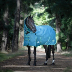 2023 Weatherbeeta Green-Tec 1200D Detach-A-Neck Lite Plus Turnout Rug - Dragonfly Blue / Bottle Green 9 2023 Weatherbeeta Green-Tec 1200D Detach-A-Neck Lite Plus Turnout Rug - Dragonfly Blue / Bottle Green -Chic Equestrian Supplies 6379 202320Weatherbeeta20Green Tec201200D20Detach A Neck20Lite20Plus20Turnout20Rug20 20Dragonfly20Blue202.700x700