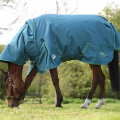 2023 Weatherbeeta Green-Tec 1200D Detach-A-Neck Lite Plus Turnout Rug - Dragonfly Blue / Bottle Green 8 2023 Weatherbeeta Green-Tec 1200D Detach-A-Neck Lite Plus Turnout Rug - Dragonfly Blue / Bottle Green -Chic Equestrian Supplies 6379 202320Weatherbeeta20Green Tec201200D20Detach A Neck20Lite20Plus20Turnout20Rug20 20Dragonfly20Blue203.700x700