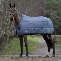 2023 Weatherbeeta Green-Tec Standard Neck Medium / Lite Stable Liner 1021797 - Grey -Chic Equestrian Supplies 6381 202320Weatherbeeta20Green Tec20Standard20Neck20Medium2020Lite20Stable20Liner20102179720 20Grey20204.700x700