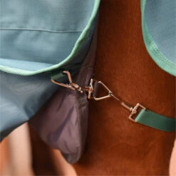 2023 Weatherbeeta Green-Tec Standard Neck Medium / Lite Stable Liner 1021797 - Grey -Chic Equestrian Supplies 6381 202320Weatherbeeta20Green Tec20Standard20Neck20Medium2020Lite20Stable20Liner20102179720 20Grey20206.700x700