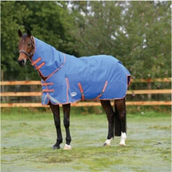 2023 Weatherbeeta Comfitec Plus Dynamic II Detach-A-Neck Medium Turnout Rug 10069170 - Royal Blue / Bright Orange Colour Royal Blue/Bright Orange -Chic Equestrian Supplies 6384 202320Weatherbeeta20Comfitec20Plus20Dynamic20II20Detach A Neck20Medium20Turnout20Rug201006917020 20Royal20Blue2020Bright20Orange202.700x700