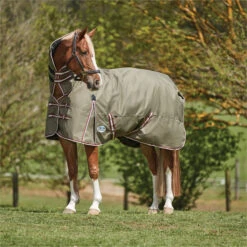 2023 Weatherbeeta Comfitec Essential Combo Neck Medium Turnout Rug 10004151 - Olive Green / Burgundy / White Colour Olive Green / Burgundy / White 6 2023 Weatherbeeta Comfitec Essential Combo Neck Medium Turnout Rug 10004151 - Olive Green / Burgundy / White Colour Olive Green / Burgundy / White -Chic Equestrian Supplies 6385 202320Weatherbeeta20Comfitec20Essential20Combo20Neck20Medium20Turnout20Rug201000415120 20Olive20Green2020Burgundy2020White202.700x700