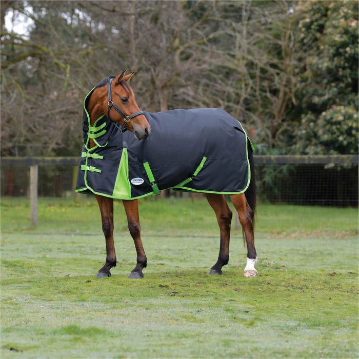 2023 Weatherbeeta Comfitec Classic Combo Neck Medium Turnout Rug 1000423 - Black / Lime Green Colour Black/Lime Green 5 2023 Weatherbeeta Comfitec Classic Combo Neck Medium Turnout Rug 1000423 - Black / Lime Green Colour Black/Lime Green - Image 3