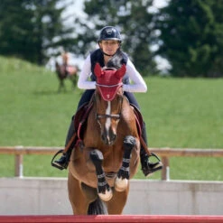 2023 PS Of Sweden Signature Fly Hat 1120-018 - Chilli Red Colour Chill Red 6 2023 PS Of Sweden Signature Fly Hat 1120-018 - Chilli Red Colour Chill Red -Chic Equestrian Supplies 6480 202320PS20Of20Sweden20Signature20Fly20Hat201120 01820 20Chilli20Red203.700x700