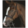 2022 Collegiate Mono Crown Padded Raised Cavesson Bridle 80088 - Brown Colour Brown 2 2022 Collegiate Mono Crown Padded Raised Cavesson Bridle 80088 - Brown Colour Brown -Chic Equestrian Supplies 68c3a49927c5db4c8773d76720c80f2a.700x700