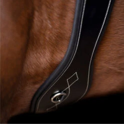 2023 HV Polo Legacy Dressage Girth 1607093500 - Black -Chic Equestrian Supplies 6917 202320HV20Polo20Legacy20Dressage20Girth20160709350020 20Black202.700x700