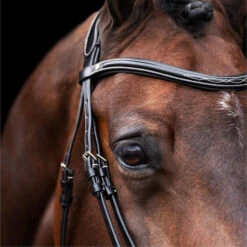 2023 HV Polo Legacy Bridle 1201093500 - Black Colour Black -Chic Equestrian Supplies 6920 202320HV20Polo20Legacy20Bridle20120109350020 20Black203.700x700