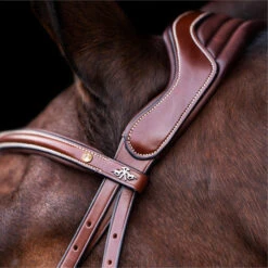 2023 HV Polo Legacy Bridle 1201093500 - Brown Colour Brown 8 2023 HV Polo Legacy Bridle 1201093500 - Brown Colour Brown -Chic Equestrian Supplies 6921 202320HV20Polo20Legacy20Bridle20120109350020 20Brown203.700x700