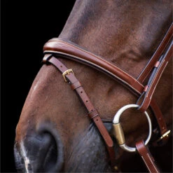 2023 HV Polo Legacy Bridle 1201093500 - Brown Colour Brown 9 2023 HV Polo Legacy Bridle 1201093500 - Brown Colour Brown -Chic Equestrian Supplies 6921 202320HV20Polo20Legacy20Bridle20120109350020 20Brown204.700x700
