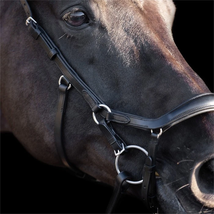 2023 HV Polo Legacy Anatomical Deluxe Bridle 1201093502 - Black 5 2023 HV Polo Legacy Anatomical Deluxe Bridle 1201093502 - Black - Image 3