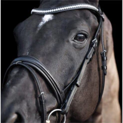 2023 HV Polo Legacy Deluxe Bridle 1201093501 - Black Colour Black 11 2023 HV Polo Legacy Deluxe Bridle 1201093501 - Black Colour Black -Chic Equestrian Supplies 6923 202320HV20Polo20Legacy20Deluxe20Bridle20120109350120 20Black204.700x700
