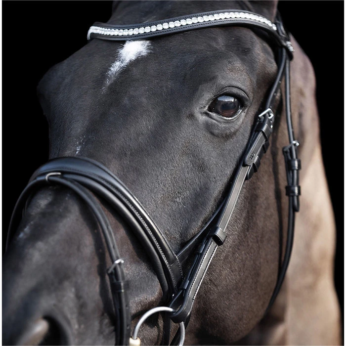 2023 HV Polo Legacy Deluxe Bridle 1201093501 - Black Colour Black 7 2023 HV Polo Legacy Deluxe Bridle 1201093501 - Black Colour Black - Image 5