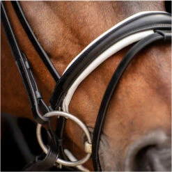 2023 HV Polo Legacy Deluxe Bridle 1201093501 - Black / White Colour Black/White -Chic Equestrian Supplies 6924 202320HV20Polo20Legacy20Deluxe20Bridle20120109350120 20Black20White20A3.700x700