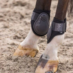 2023 HV Polo Franka Tendon And Fetlock Boots Set 2802093452 - Mocca -Chic Equestrian Supplies 6935 202320HV20Polo20Franka20Tendon20And20Fetlock20Boots20Set20280209345220 20Mocca204.700x700