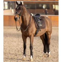 2023 HV Polo Franka Tendon And Fetlock Boots Set 2802093452 - Mocca -Chic Equestrian Supplies 6935 202320HV20Polo20Franka20Tendon20And20Fetlock20Boots20Set20280209345220 20Mocca206.700x700