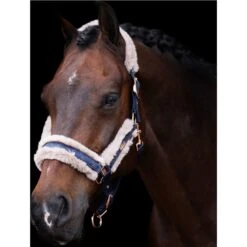 2023 HV Polo Welmoed Shine Headcollar 1601093452 - Navy Colour Navy 7 2023 HV Polo Welmoed Shine Headcollar 1601093452 - Navy Colour Navy -Chic Equestrian Supplies 6943 4479fbad1324eab923fa7919ef64bb06ef5a2bbd 1601093452 5001 mfront.700x700