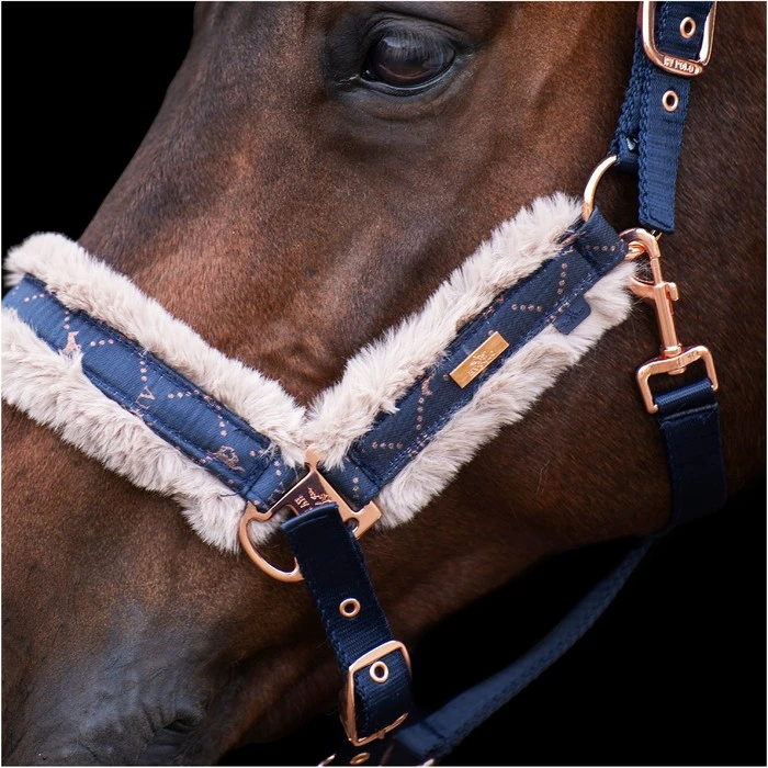 2023 HV Polo Welmoed Shine Headcollar 1601093452 - Navy Colour Navy 4 2023 HV Polo Welmoed Shine Headcollar 1601093452 - Navy Colour Navy - Image 2