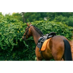 2023 HV Polo Dorian Dressage Saddle Pad 802093510 - Ginger Colour Ginger 8 2023 HV Polo Dorian Dressage Saddle Pad 802093510 - Ginger Colour Ginger -Chic Equestrian Supplies 6948 LA 04209.700x700