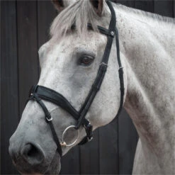 2023 Henry James Saddlery Dressage Bridle HJ-BR-03 - Black Colour Black -Chic Equestrian Supplies 6998 202320Henry20James20Saddlery20Dressage20Bridle20HJ BR 0320 20Black203.700x700