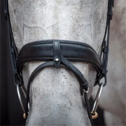 2023 Henry James Saddlery Dressage Bridle HJ-BR-03 - Black Colour Black -Chic Equestrian Supplies 6998 202320Henry20James20Saddlery20Dressage20Bridle20HJ BR 0320 20Black204.700x700