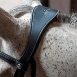 2023 Henry James Saddlery Dressage Bridle HJ-BR-03 - Black Colour Black -Chic Equestrian Supplies 6998 202320Henry20James20Saddlery20Dressage20Bridle20HJ BR 0320 20Black205.700x700