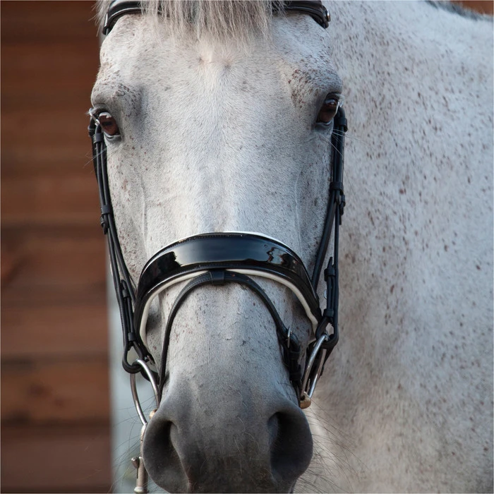 2023 Henry James Saddlery Patent Dressage Bridle With White Padding HJ-BR-07 - Black 5 2023 Henry James Saddlery Patent Dressage Bridle With White Padding HJ-BR-07 - Black - Image 3