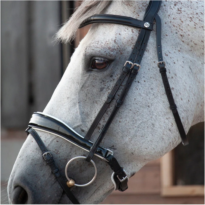 2023 Henry James Saddlery Patent Dressage Bridle With White Padding HJ-BR-07 - Black 6 2023 Henry James Saddlery Patent Dressage Bridle With White Padding HJ-BR-07 - Black - Image 4