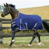 2022 Weatherbeeta Comfitec Essential Medium Standard Neck Turnout Rug - Navy / Silver / Red -Chic Equestrian Supplies 83 1.700x700