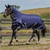 2022 Weatherbeeta Comfitec Essential Heavy Combo Neck Turnout Rug - Navy / Silver 1 2022 Weatherbeeta Comfitec Essential Heavy Combo Neck Turnout Rug - Navy / Silver -Chic Equestrian Supplies 843 1.700x700 1