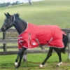 2022 Weatherbeeta Comfitec Classic Lite Standard Neck Turnout Rug - Red / Silver -Chic Equestrian Supplies 852 1.700x700