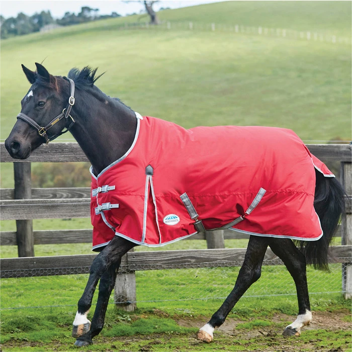 2022 Weatherbeeta Comfitec Classic Lite Standard Neck Turnout Rug - Red / Silver 3 2022 Weatherbeeta Comfitec Classic Lite Standard Neck Turnout Rug - Red / Silver