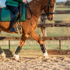 Equilibrium Tri-Zone All Sports Boots Black -Chic Equestrian Supplies ASB20Black20Set20120Web.700x700