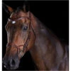 Collegiate Comfitec Training Bridle - Brown Colour Brown -Chic Equestrian Supplies Collegiate Comfitec Training Bridle Brown.700x700