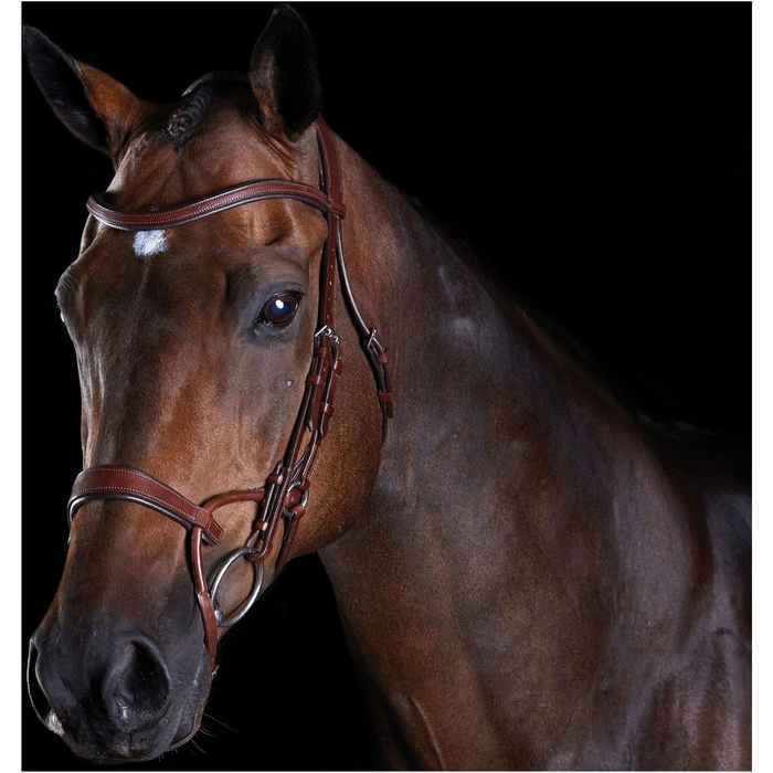 Collegiate Comfitec Training Bridle - Brown Colour Brown 3 Collegiate Comfitec Training Bridle - Brown Colour Brown