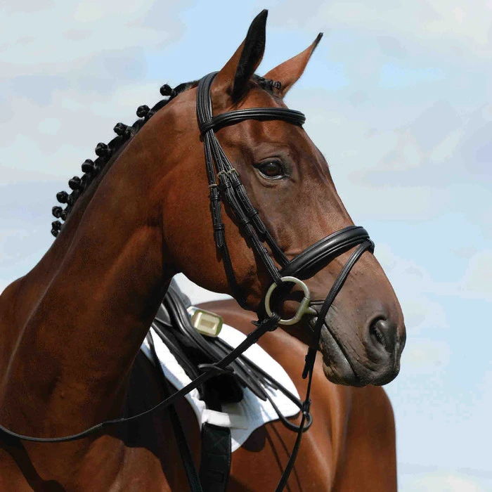 Collegiate Syntovia+ Padded Raised Flash Bridle - Black Colour Black 3 Collegiate Syntovia+ Padded Raised Flash Bridle - Black Colour Black