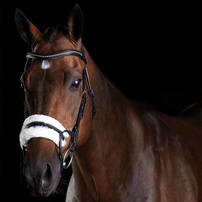 Collegiate Comfitec Sheepskin Bridle - Black Colour Black 3 Collegiate Comfitec Sheepskin Bridle - Black Colour Black