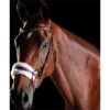 Collegiate Comfitec Sheepskin Bridle - Brown Colour Brown 2 Collegiate Comfitec Sheepskin Bridle - Brown Colour Brown -Chic Equestrian Supplies Collegiate20Comfitec20Sheepskin20Bridle20 20Brown.700x700