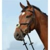 2022 Collegiate Syntovia+ Padded Raised Figure 8 Bridle 10031020 - Brown Colour Brown 1 2022 Collegiate Syntovia+ Padded Raised Figure 8 Bridle 10031020 - Brown Colour Brown -Chic Equestrian Supplies Collegiate20Syntovia2B20Padded20Raised20Figure20820Bridle20 20Brown.700x700