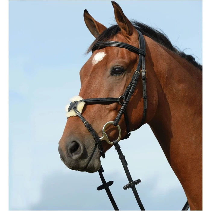 2022 Collegiate Syntovia+ Padded Raised Figure 8 Bridle 10031020 - Brown Colour Brown 3 2022 Collegiate Syntovia+ Padded Raised Figure 8 Bridle 10031020 - Brown Colour Brown