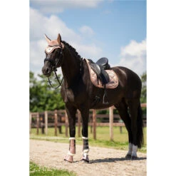 2023 Imperial Riding Lovely General Purpose Saddle Pad ZT73122000 - Rosy Colour Rosy 9 2023 Imperial Riding Lovely General Purpose Saddle Pad ZT73122000 - Rosy Colour Rosy -Chic Equestrian Supplies DSC02970.700x700