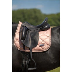 2023 Imperial Riding Lovely General Purpose Saddle Pad ZT73122000 - Rosy Colour Rosy 8 2023 Imperial Riding Lovely General Purpose Saddle Pad ZT73122000 - Rosy Colour Rosy -Chic Equestrian Supplies DSC03143.700x700