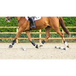 Woof Wear Pro Tendon Boots Black -Chic Equestrian Supplies DSC2512.700x700