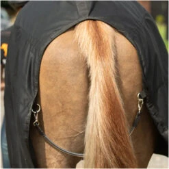 Equilibrium Magnetic Rug With Neck - Black 15 Equilibrium Magnetic Rug With Neck - Black -Chic Equestrian Supplies Equilibrium Magnetic Rug with Neck Black 6.700x700