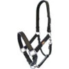 Equilibrium Stellar Headcollar - Black -Chic Equestrian Supplies Equilibrium Stella Headcollar Black.700x700