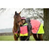 2022 Equisafety Charlotte Dujardin Hi Vis Multi Coloured Horse Sheet CD-MCQWS - Pink / Yellow 2 2022 Equisafety Charlotte Dujardin Hi Vis Multi Coloured Horse Sheet CD-MCQWS - Pink / Yellow -Chic Equestrian Supplies Equisafety Jan22 14520284292028129.700x700