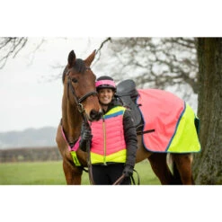 2022 Equisafety Charlotte Dujardin Hi Vis Multi Coloured Horse Sheet CD-MCQWS - Pink / Yellow