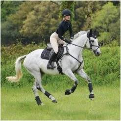 2021 Woof Wear IVent Overreach Boot WB0071 - Brushed Steel Colour Brushed Steel -Chic Equestrian Supplies PiLa5nWM.700x700