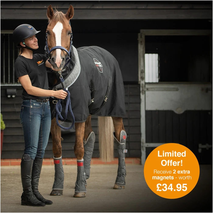 Equilibrium Magnetic Rug With Neck - Black 4 Equilibrium Magnetic Rug With Neck - Black - Image 2