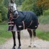 WeatherBeeta ComFiTec Premier With Therapy-Tec Detach-A-Neck Lite Plus Turnout Rug 10062120 - Black / Silver / Red 2 WeatherBeeta ComFiTec Premier With Therapy-Tec Detach-A-Neck Lite Plus Turnout Rug 10062120 - Black / Silver / Red -Chic Equestrian Supplies WeatherBeeta20ComFiTec20Premier20With20Therapy Tec20Detach A Neck20Lite20Plus201006212020 20Black20Silver20Red201.700x700